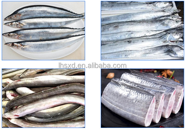 冷凍魚切断機/マグロ魚セグメントデヘッドヘッドおよびテールカッター