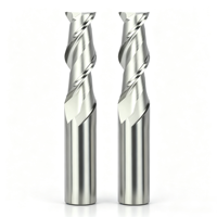 Fraise à queue en carbure monobloc à 2 dents pour aluminium, cuivre, alliage de zinc, fraise de fraisage CNC non revêtue