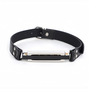 Accessoires de sexe SM amusant Harmonica bouche Plug Couple taquineries flirter nouveau Unique reliure bouche balle formation Sex Toy - Product Image 5