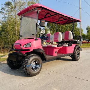 Carritos de Golf Eléctricos Tipo Buggy Color Rosa Princesa, Legales para Circular en la Calle, de 6 Plazas, para Turismo, en Venta - Product Image 3