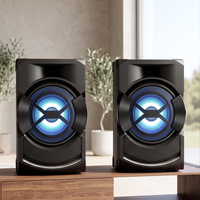 Nouvelle Enceinte de Fête Sans Fil 300W avec Lumières et Subwoofer pour Scènes, Fêtes et Bars - Fabrication OEM/ODM