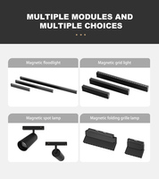 Fabricants professionnels Éclairage de plafond à rail magnétique intelligent à LED Système d'éclairage linéaire à LED noires