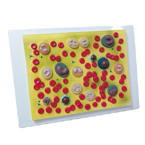 École de médecine enseignement des plaquettes sanguines humaines anatomiques en PVC système circulatoire affichage de la recherche modèle de cellule sanguine humaine agrandie - Product Image 1
