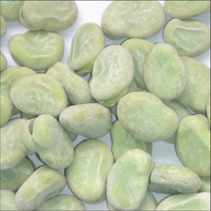 Hữu cơ đông lạnh hấp fava đậu hạt cho bán bóc vỏ tươi fava đậu - Product Image 5