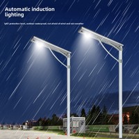 Lampadaire Solaire Routier Étanche IP65 300W-600W LED en Alliage d'Aluminium Ra80 5000K Lumière du Jour Angle de Faisceau 90° Double Alimentation Détection de Mouvement