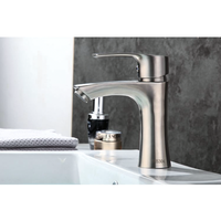 Robinet de lavabo personnalisé OEM en acier plastique brossé à cartouche en cuivre froid simple levier de levage hôtel appartement