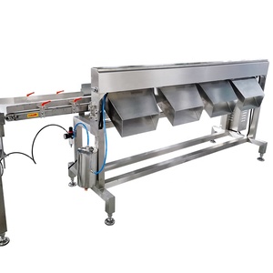 Machine de tri en ligne haute sensibilité pour fruits, fruits de mer, poissons, huîtres, avec acier inoxydable 304 et tri à plusieurs niveaux - Product Image 1
