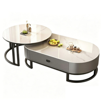 Table basse ovale de style luxueux en pierre frittée, esthétique minimaliste moderne pour petit appartement