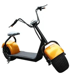 Big wheels Citycoco electric scooter 200kg load with two seats for sale