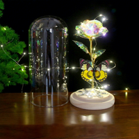 Valentijnsdag cadeau LED-licht folie Galaxy oneindige roos glazen koepel 24k gouden roos vlinder fabrieks prijs langdurig 3-5 jaar