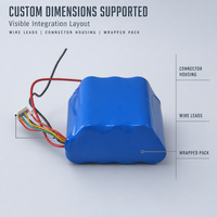 Batterie NCM 26V 2500mAh, module d'alimentation OEM avec faisceau de connecteurs pour fauteuil roulant électrique, bateau, robot et systèmes de secours
