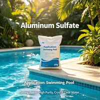 Harga Produsen Terbaik Aluminium Sulfat untuk Pemurnian Air