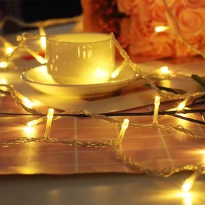 AC220V Noël <span class=keywords><strong>LED</strong></span> Guirlandes Lumineuses IP65 Cote 10M 20M 30M 50M 100M Extérieur Intérieur Fête De Vacances Décoration De Mariage - Product Image 4