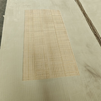 Panneau souple en pierre flexible de travertin pour décoration murale extérieure, type pilier romain, en argile, brique MCM, feuille naturelle, imperméable