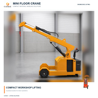 Mini-grue télescopique mobile CATHAYLIFT, palan hydraulique avec couleur personnalisée