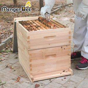 Cajas para Colmenas de Abejas Langstroth de 10 Cuadros, Kit Completo de Colmena que Incluye 1 Caja Profunda para Cría de Abejas y 1 Caja Mediana para Abejas Superiores - Product Image 5