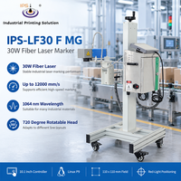 Machine de marquage laser à fibre industrielle IPS-LF30 F MG 30W, machine de marquage laser à fibre 110 x 110 mm, positionnement par lumière rouge 1064nm