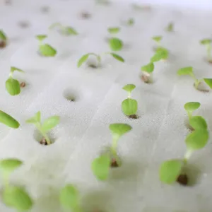 Agricultural Hydroponic Grow Nutrients Systems Vegetables sponge seed germination