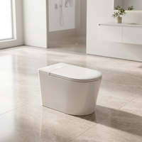 S022 Vente directe WC intelligent monobloc en céramique à poser au sol, avec siphon en P, siège chauffant et télécommande