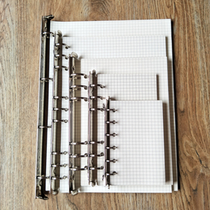 Recambio de Papel para Cuaderno Espiral, 40 <span class=keywords><strong>Hojas</strong></span> <span class=keywords><strong>con</strong></span> Cuadrícula de <span class=keywords><strong>Puntos</strong></span>, <span class=keywords><strong>Hojas</strong></span> Sueltas para Carpetas de Anillas, Recambio para Papel de Agenda Filofax - Product Image 6