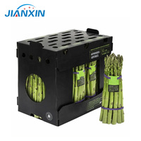 Boîte d'emballage personnalisée en gros pour fruits et légumes frais, pliable, en plastique ondulé PP, boîte de rangement Coroplast pour brocoli