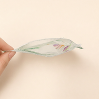 Transparante 3-zijdig gesealde staande plastic zak voor voedselverpakkingen, geschikt voor noten, pistache, gedroogd fruit, snacks, met aangepaste opdruk