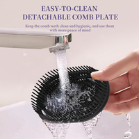 Peigne massant atomiseur rechargeable sans fil pour le cuir chevelu, applicateur d'huile capillaire à brume d'huile essentielle, brosse de massage à lumière LED rouge, OEM