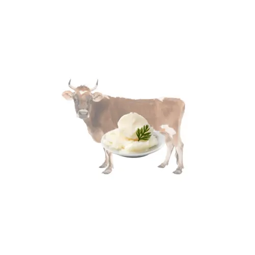 (KIM)/ REFINED BEEF TALLOW/ BEST PRICE FOR YOUR CHOICE/ HIGH QUALITY AND LARGE QUANTITY FOR WHOLESALE