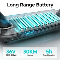 Trottinette électrique pliable pour adultes alimentée par une batterie au lithium 36V, absorption des chocs, capacité de poids maximale de 150 kg