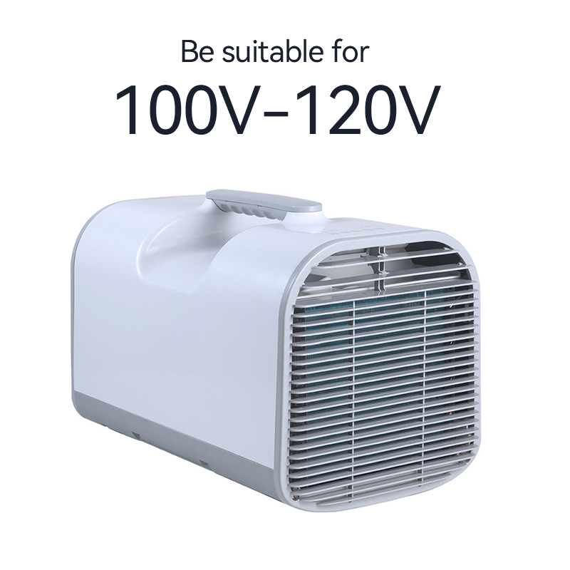 110v 12v/24v