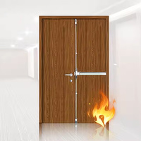 Porte coupe-feu en bois, porte de secours, porte de sécurité avec quincaillerie anti-panique pour bâtiment commercial