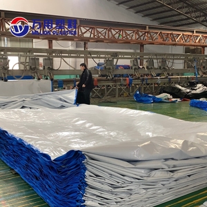 Bâche PE personnalisée du fabricant Linyi 4x5m, bâche PE bleue et <span class=keywords><strong>blanche</strong></span>, bâche PE laminée - Product Image 5