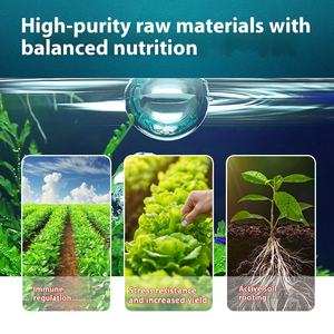 Green <span class=keywords><strong>Seaweed</strong></span> Liquid <span class=keywords><strong>Seaweed</strong></span> Fertilizer Melhoria do rendimento das culturas com raiz e folha Função Restauração - Product Image 4