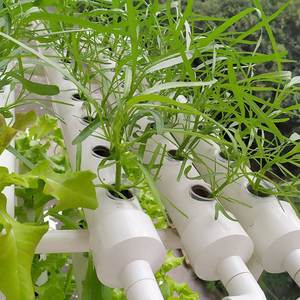 50 pièces/paquet éponge hydroponique noire jardin légumes sans sol plantation éponge mousse plantes racine éponge fixe pour paniers Pots - Product Image 6