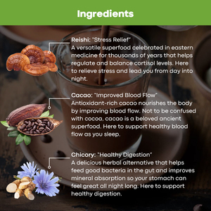 El polvo de cacao para dormir profundo contiene melatonina en polvo de cacao caliente Reishi L-teanina y Champiñón de achicoria en polvo café para ayudar a dormir - Product Image 4