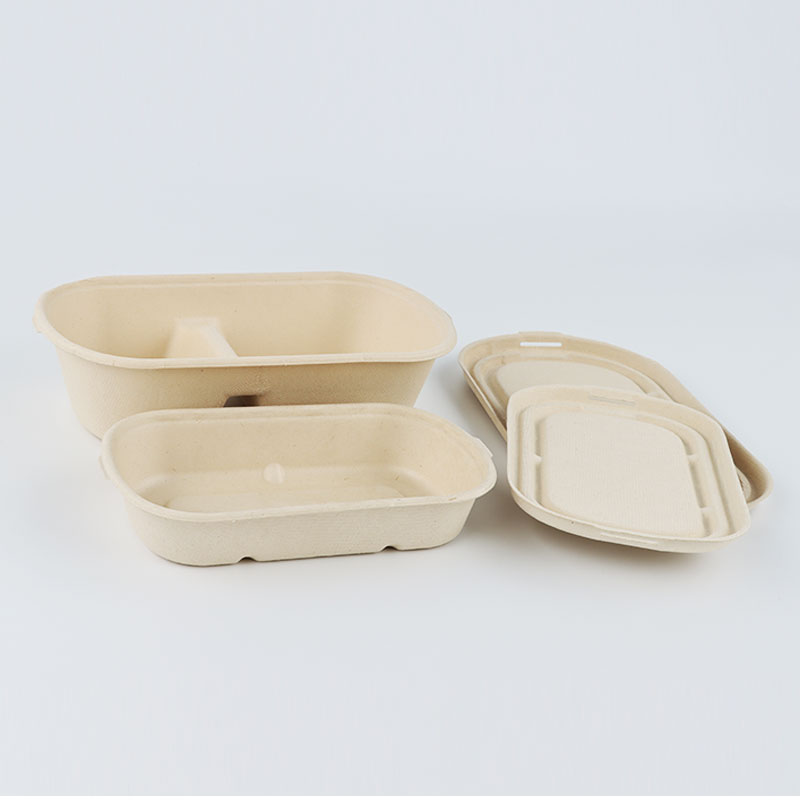 Disposable Eco-friendly Bagasse Paper Pulp Takeaway Food Containersom