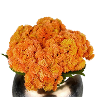Fleurs Artificielles Murales et Plafondières, Panneaux de Plantes Succulentes Réalistes pour Jardin et Maison, en Colle Souple, pour Gazebo, Petites Décorations de Noël, Écologiques