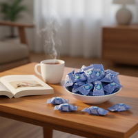 Permen Kompres Rasa Blueberry Mint Dingin Vitamin C Bebas Gula Cina yang Lezat untuk Anak-Anak, Menyegarkan Napas