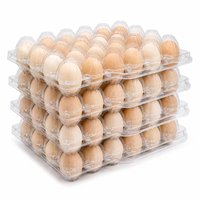 Barquette d'emballage d'œufs portable en PET transparent de qualité alimentaire avec poignée, antichoc, empilable, impression personnalisée OEM, vente en gros d'usine