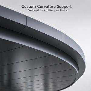 Panneaux de mur rideau incurvés contemporains à surface miroir, solution écologique pour l'extérieur des bâtiments - Product Image 2
