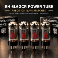 Tube de puissance à vide EH 6L6GCR, tube de puissance octal à 8 broches, paire assortie, pour amplificateur de guitare et réparation et mise à niveau d'amplificateurs vintage