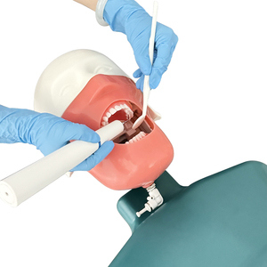 YOUYA DENTAL MX-108 Modèle de tête et de corps de mannequin pour la formation dentaire, équipement de pratique pour l'enseignement en dentisterie - Product Image 6