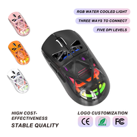 Souris sans fil rechargeable tri-mode Type C 3600 DPI avec éclairage RGB, coque transparente, 95g, pour Esports, vente en gros OEM ODM