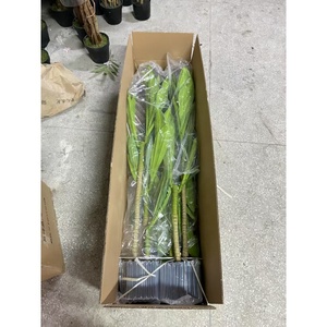 Material de seda espacial de hierro brasileño 120cm bonsái verde Artificial árbol sintético planta de imitación para decoración de hogar u oficina - Product Image 6