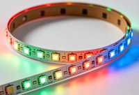 Bande lumineuse LED RGB 5050, 60 LED/m, DC 12V, flexible, télécommande par application, indice de protection IP20, LED Epistar pour la décoration extérieure du jardin