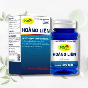 Hot Seller Coptis Chinensis Capsules Supplément à base de plantes Soutenir la santé gastro-intestinale pour les adolescentes Non recommandé pour les femmes enceintes - Product Image 1