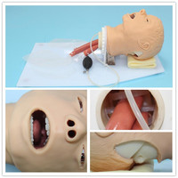 Modelo de Entrenamiento Avanzado para Intubación Endotraqueal en Adultos BIX-J50 |   Simulador Realista Avanzado de Manejo de Vías Respiratorias de PVC de Tamaño Natural