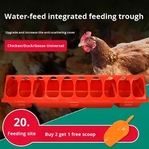 Mangeoire et <span class=keywords><strong>abreuvoir</strong></span> intégrés pour volailles Wanqing, nouveau modèle <span class=keywords><strong>rectangulaire</strong></span> en <span class=keywords><strong>plastique</strong></span>, bac d'alimentation pour canards et oies, modèle haut WQ-01, 1 an - Product Image 3