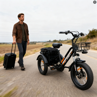 Tricycle électrique à pneus larges EZREAL BAFANG 750W, vélo électrique à 3 roues 48V, tricycle électrique à 3 roues stable pour la livraison et les utilités