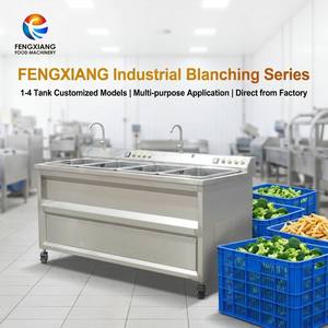 Machine à blanchir les légumes FENGXIANG, 1 à 4 bacs, en acier inoxydable, équipement de transformation alimentaire multi-usages - Product Image 1